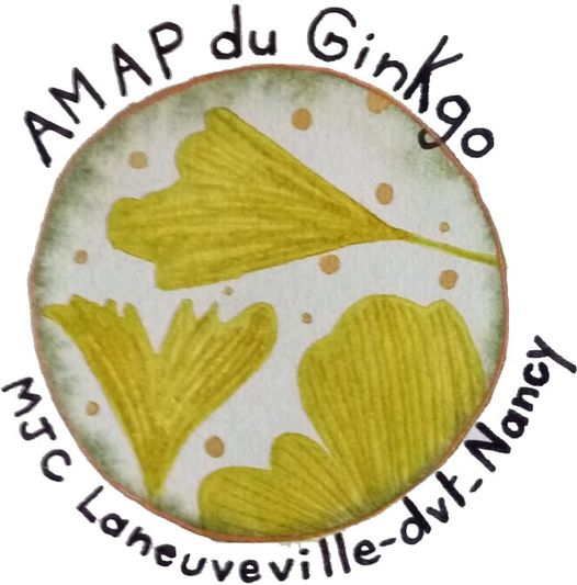 L’Est Républicain : AMAP du GINKGO